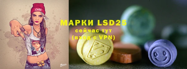 амф Аркадак