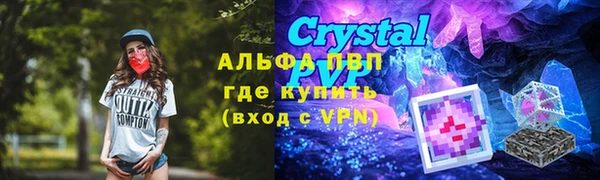 амф Аркадак