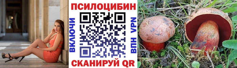 Галлюциногенные грибы MAGIC MUSHROOMS  Бабаево 